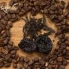 coffee arabica Kenya